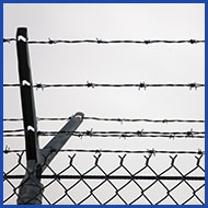 Fence with Barbed Wire