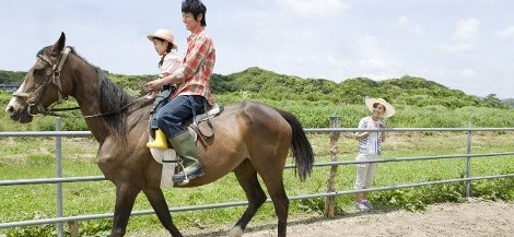 Horse Fence